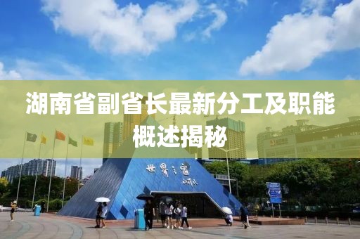 湖南省副省長最新分工及職能概述揭秘