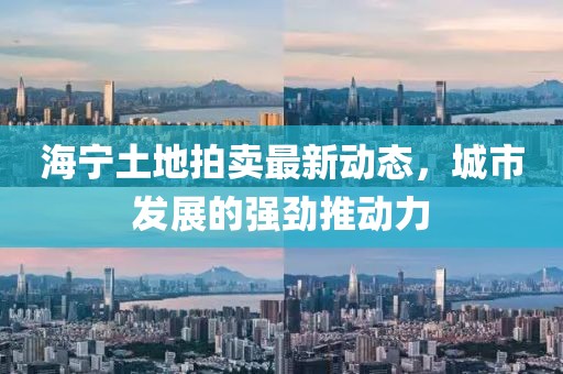 海寧土地拍賣最新動(dòng)態(tài)，城市發(fā)展的強(qiáng)勁推動(dòng)力