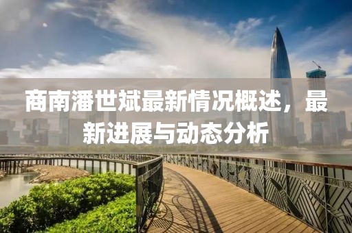 商南潘世斌最新情況概述，最新進展與動態(tài)分析