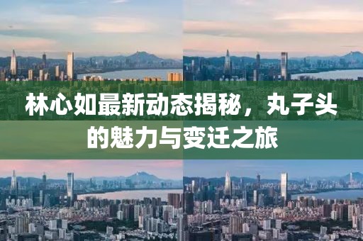 林心如最新動(dòng)態(tài)揭秘，丸子頭的魅力與變遷之旅