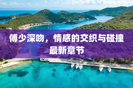 傅少深吻，情感的交織與碰撞最新章節(jié)