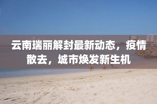云南瑞麗解封最新動態(tài)，疫情散去，城市煥發(fā)新生機