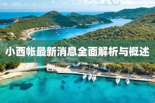 小西帳最新消息全面解析與概述