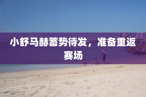 小舒馬赫蓄勢待發(fā)，準備重返賽場