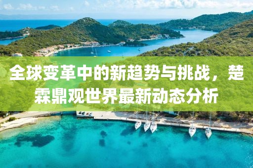 全球變革中的新趨勢與挑戰(zhàn)，楚霖鼎觀世界最新動態(tài)分析