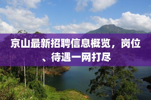 京山最新招聘信息概覽，崗位、待遇一網(wǎng)打盡