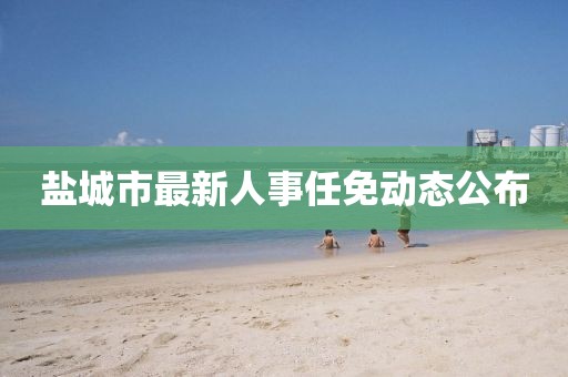 鹽城市最新人事任免動態(tài)公布