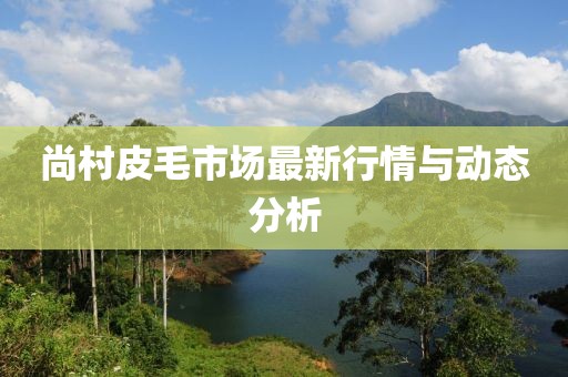 尚村皮毛市場(chǎng)最新行情與動(dòng)態(tài)分析