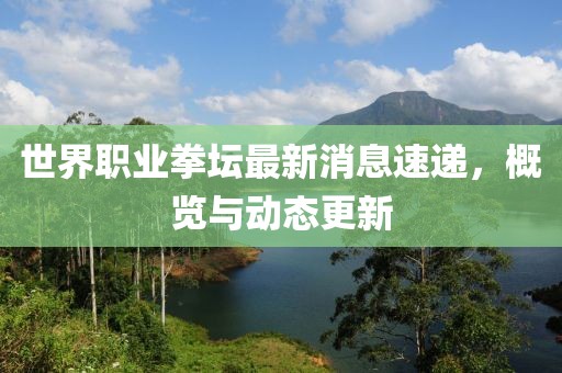 世界職業(yè)拳壇最新消息速遞，概覽與動態(tài)更新