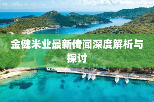 金健米業(yè)最新傳聞深度解析與探討