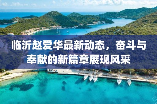 臨沂趙愛華最新動態(tài)，奮斗與奉獻的新篇章展現(xiàn)風采