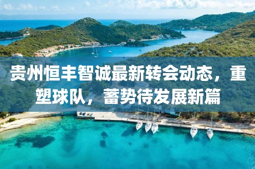 貴州恒豐智誠(chéng)最新轉(zhuǎn)會(huì)動(dòng)態(tài)，重塑球隊(duì)，蓄勢(shì)待發(fā)展新篇