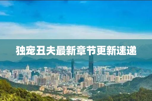 獨(dú)寵丑夫最新章節(jié)更新速遞