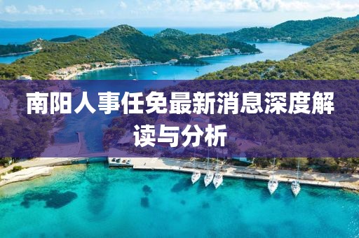 南陽人事任免最新消息深度解讀與分析