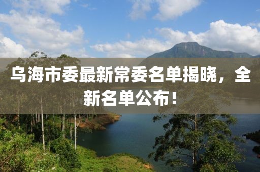 烏海市委最新常委名單揭曉，全新名單公布！