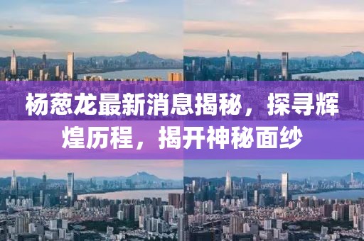 楊蔥龍最新消息揭秘，探尋輝煌歷程，揭開神秘面紗