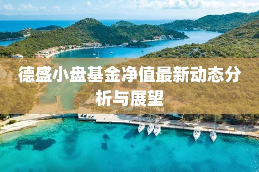 德盛小盤基金凈值最新動(dòng)態(tài)分析與展望