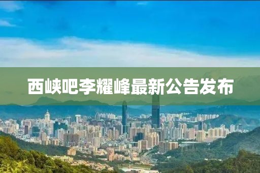 當(dāng)事人 第8頁