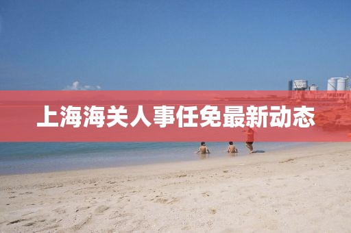 上海海關(guān)人事任免最新動態(tài)