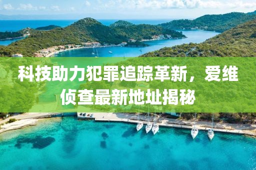 科技助力犯罪追蹤革新，愛維偵查最新地址揭秘