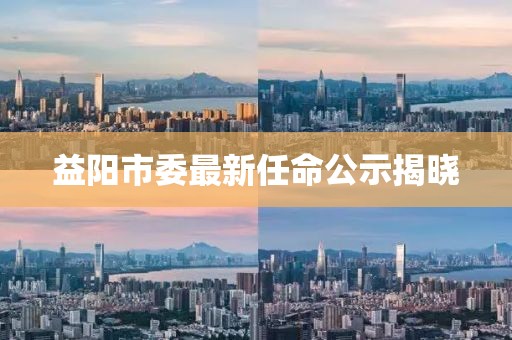 益陽市委最新任命公示揭曉