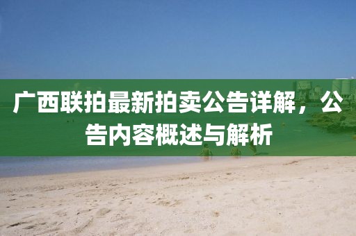 廣西聯(lián)拍最新拍賣公告詳解，公告內(nèi)容概述與解析