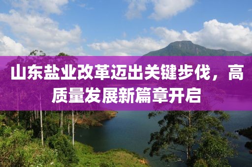山東鹽業(yè)改革邁出關(guān)鍵步伐，高質(zhì)量發(fā)展新篇章開(kāi)啟