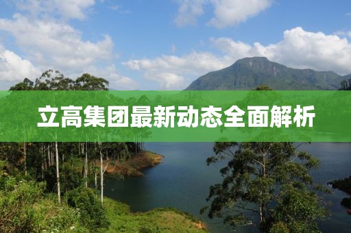 立高集團(tuán)最新動(dòng)態(tài)全面解析