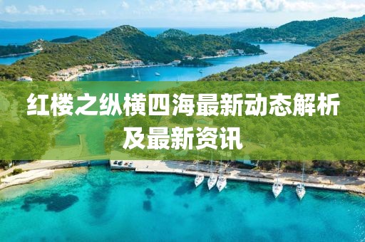 紅樓之縱橫四海最新動(dòng)態(tài)解析及最新資訊