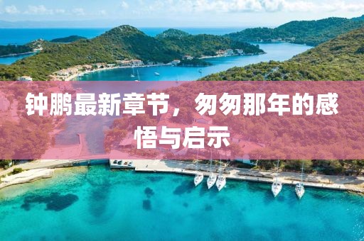 鐘鵬最新章節(jié)，匆匆那年的感悟與啟示