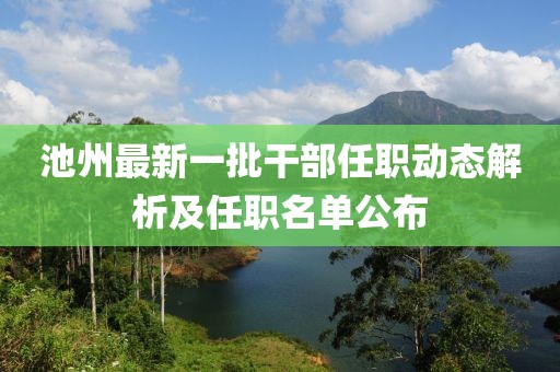 池州最新一批干部任職動(dòng)態(tài)解析及任職名單公布
