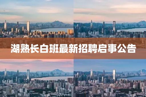 湖熟長白班最新招聘啟事公告