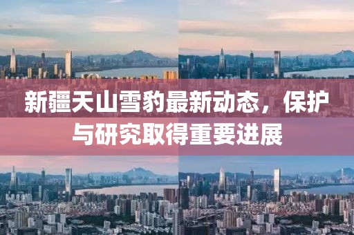 新疆天山雪豹最新動(dòng)態(tài)，保護(hù)與研究取得重要進(jìn)展