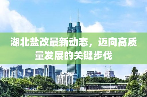 湖北鹽改最新動態(tài)，邁向高質量發(fā)展的關鍵步伐
