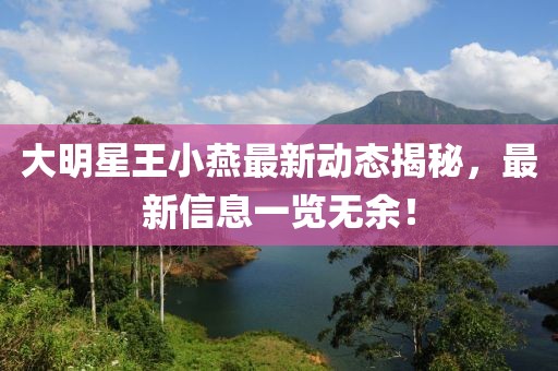 大明星王小燕最新動態(tài)揭秘，最新信息一覽無余！