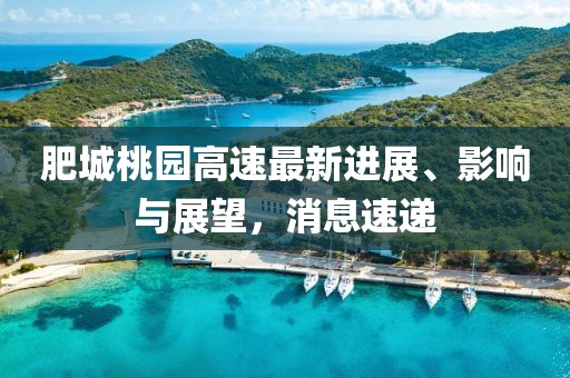 肥城桃園高速最新進(jìn)展、影響與展望，消息速遞