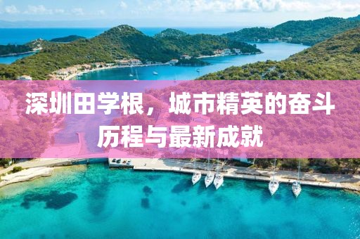 深圳田學(xué)根，城市精英的奮斗歷程與最新成就