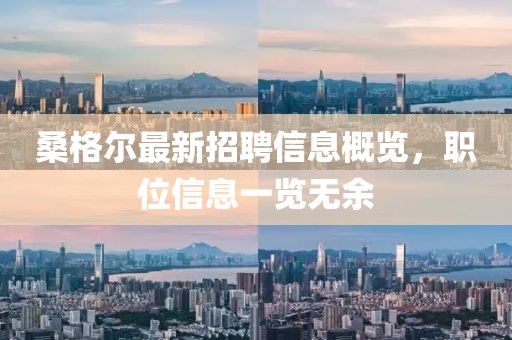 桑格爾最新招聘信息概覽，職位信息一覽無余