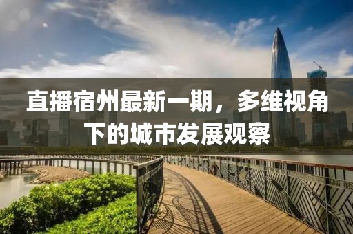 直播宿州最新一期，多維視角下的城市發(fā)展觀察
