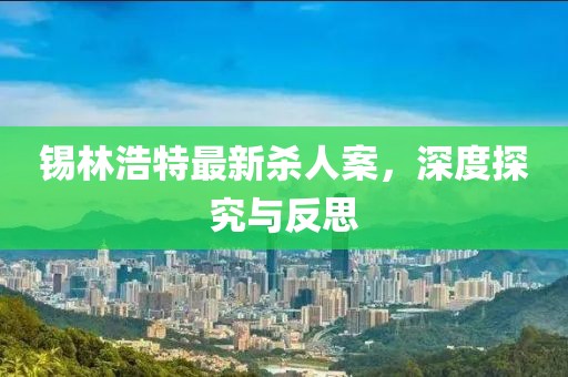 錫林浩特最新殺人案，深度探究與反思