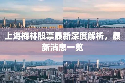 上海梅林股票最新深度解析，最新消息一覽