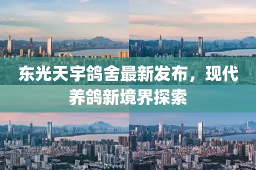 東光天宇鴿舍最新發(fā)布，現(xiàn)代養(yǎng)鴿新境界探索