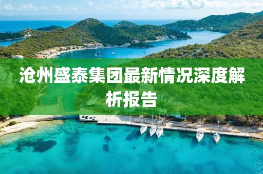 滄州盛泰集團(tuán)最新情況深度解析報(bào)告