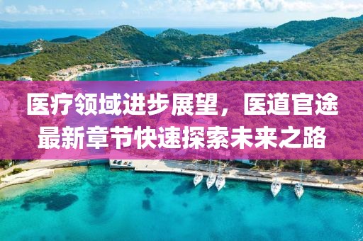 醫(yī)療領(lǐng)域進(jìn)步展望，醫(yī)道官途最新章節(jié)快速探索未來之路