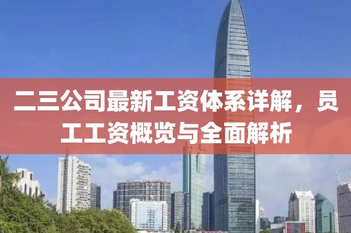 二三公司最新工資體系詳解，員工工資概覽與全面解析