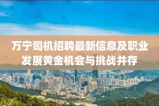萬寧司機(jī)招聘最新信息及職業(yè)發(fā)展黃金機(jī)會(huì)與挑戰(zhàn)并存