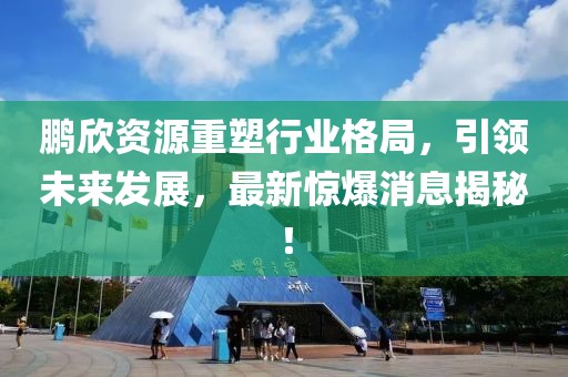 鵬欣資源重塑行業(yè)格局，引領(lǐng)未來(lái)發(fā)展，最新驚爆消息揭秘！