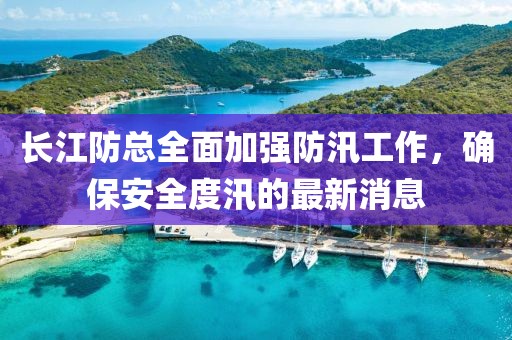 長江防總?cè)婕訌?qiáng)防汛工作，確保安全度汛的最新消息