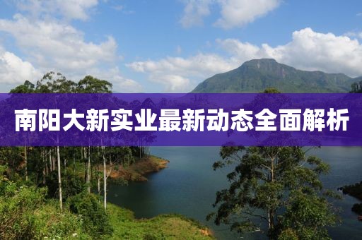 南陽大新實(shí)業(yè)最新動態(tài)全面解析
