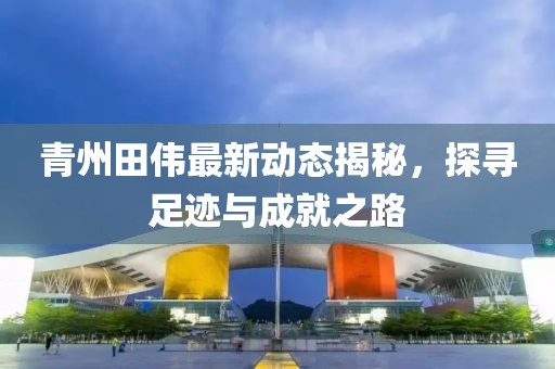 青州田偉最新動態(tài)揭秘，探尋足跡與成就之路